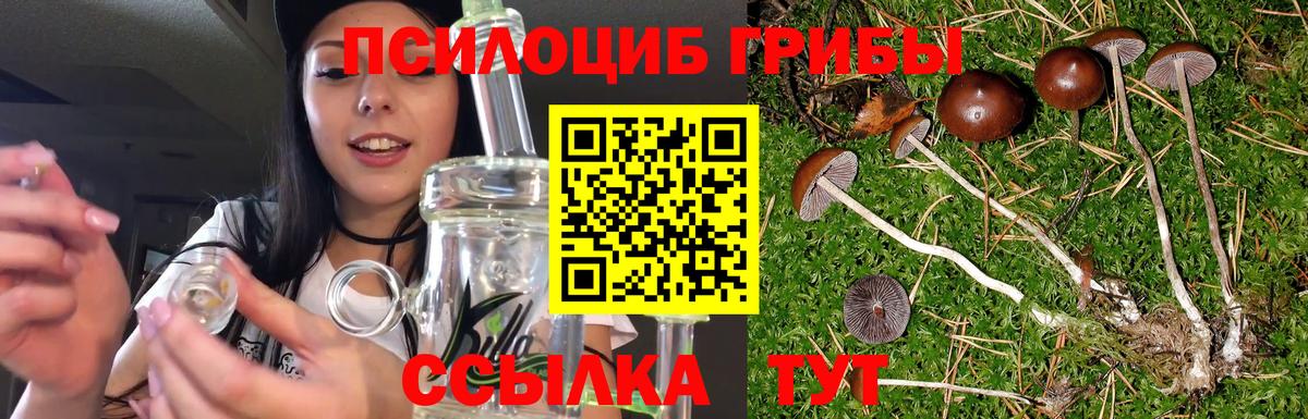 продажа наркотиков  Псилоцибиновые грибы MAGIC MUSHROOMS  Вход с VPN  Светлоград  Галлюциногенные грибы MAGIC MUSHROOMS 